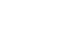paladim